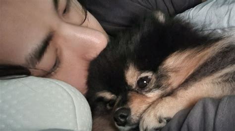 La Hermosa Relación Que Tiene V De Bts Con Su Mascota Yeontan Infobae