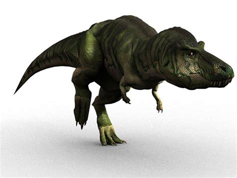 Cgi Tyrannosaurus Rex Picture