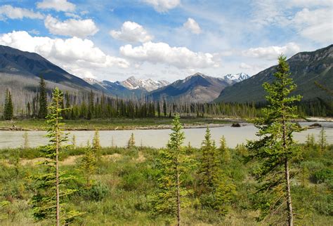 outside of the bubble: Kootenay National Park photo