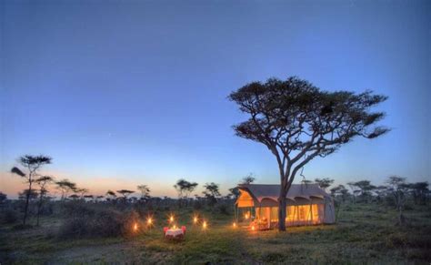 Serengeti Serena Safari Lodge – Kashipa Adventures