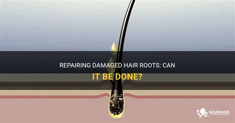 Repairing Damaged Hair Roots: Can It Be Done? | ShunHair