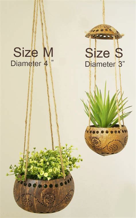 Coconut Shell Hanging Planter Coconut Shell Crafts Gourds Crafts