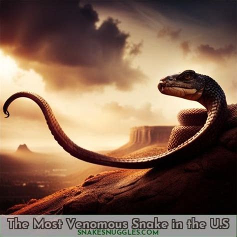 The Most Venomous Snake in the U.S: Bite Facts and Pictures