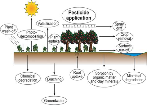 Various Processes Responsible For The Fate And Transport Of Different