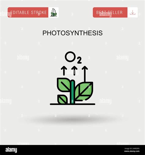 Photosynthesis Diagram Hi Res Stock Photography And Images Alamy