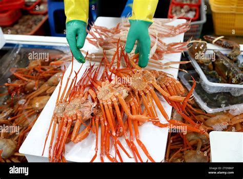 Seafood At The Fish Market In Korea Stock Photo Alamy