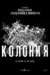 koloniia film  smotret onlain besplatno