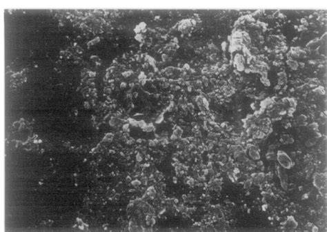 Scanning electron micrograph showing enamel finish of visible ... 