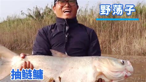 【鄧剛釣魚】退水留出野蕩子，鄧剛挑戰水深鰱鳙，一釣一個準【天元鄧剛】 Youtube