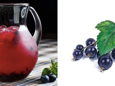 7 вкуснейших рецептов домашнего лимонада / Едальня