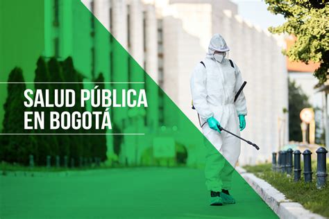 EL IMPACTO DE LAS PLAGAS EN LA SALUD PÚBLICA EN BOGOTÁ RELACIÓN ENTRE