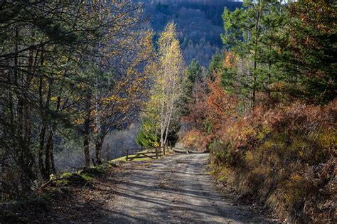 Zlatar Srbija Instagram Life Around Us Cacak Hl