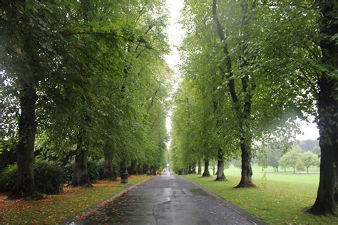 lurgan lane | Places to visit, Park photos, Lurgan