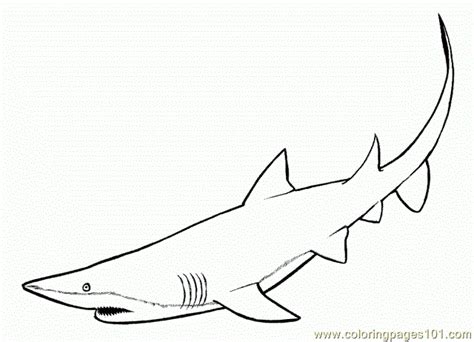 Shark Fin Drawing at GetDrawings | Free download