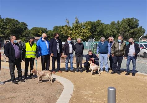 Park For Dogs In Limassol Ready Preparations For Second One In