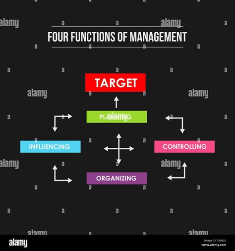 Cuatro funciones de gestión Infografía ilustración colorida del