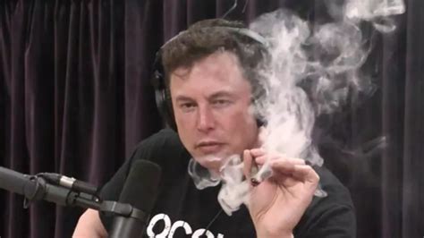 Elon Musk Usa Droghe Come Lsd Cocaina E Ketamina Le Rivelazioni Del