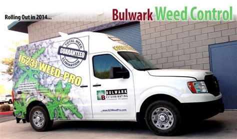 Weed Control Has Never Been Easier: Get Rid Of Weeds