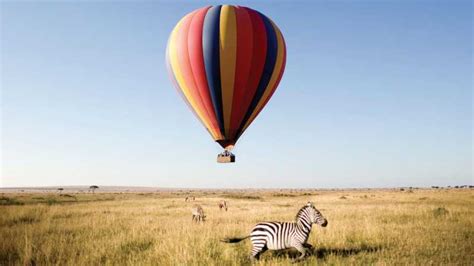 Tage N Chte Tansania Budget Camping Safari In Der Serengeti