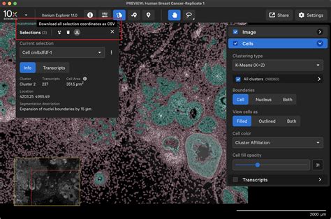 Selecting And Exporting Multiple Regions Of Interest Official 10x Genomics Support