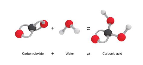 Formation Of Carbonic Acid Photograph by Mikkel Juul Jensen - Pixels