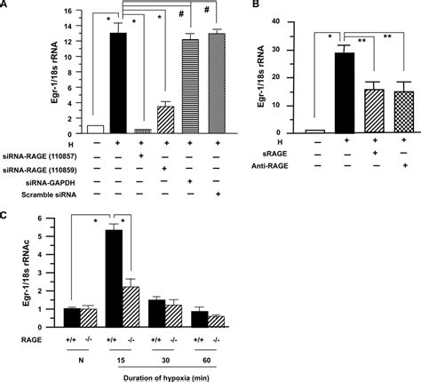 Rna Interference Silencing Pharmacological Blockade Or Genetic