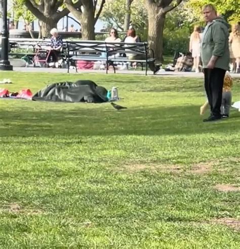 Randy Couple Have Sex Under Blanket In New York City Park As Shocked Families Watch On Daily