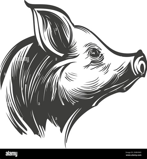 Pig Hand Drawn Vector Illustration Realistic Sketch Stock Vector Image