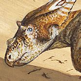 Paleontologists Discover Complete Baby Dino Skeleton | New Trail 