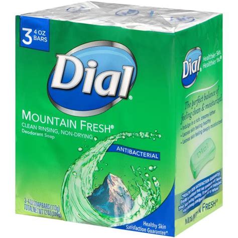 Dial Mountain Fresh Bar Soap Pack Of 3 12oz Shopee Malaysia