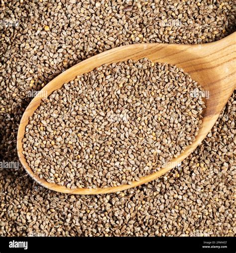 Top View Of Unhulled Barnyard Millet Seeds In Wood Spoon Closeup Stock