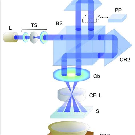 Optical Arrangement For Studying The Effect Of Self Diffraction In