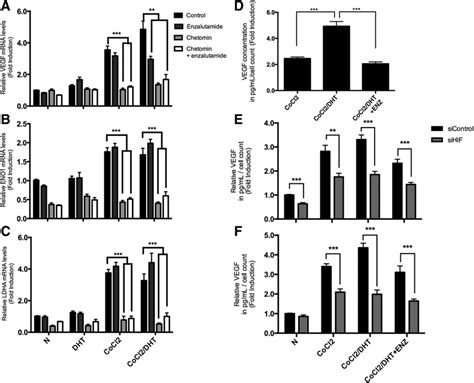 Effect Of Enzalutamide And HIF Inhibition On Hypoxia Induced Gene