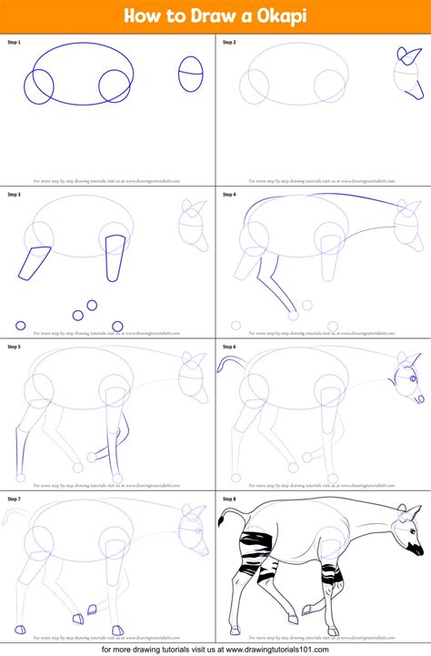 How to Draw a Okapi printable step by step drawing sheet ...