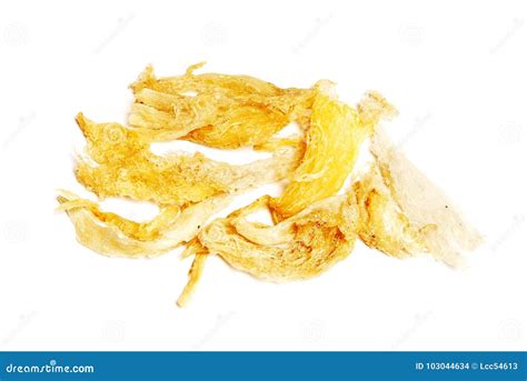 Edible bird`s nest stock photo. Image of protein, culture - 103044634