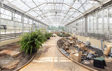 Conservatory Plants Moving In | Creation Museum