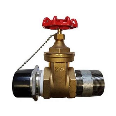 Drain Line Gate Valve For Wet Riser At Best Price In Navi Mumbai By