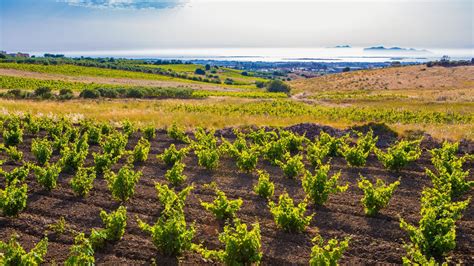 Fortified Wines Of Marsala Sicilian Wine Region Italy