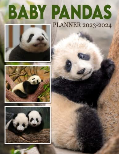 Baby Pandas Calendar Planner 2023-2024: Monthly Daily Planner 2023-2024 ...