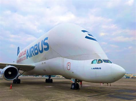 Airbus Beluga Makes Rare Landing in Kolkata as Passengers Spot Whale ...