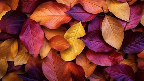 Colorful Fall Foliage Texture Powerpoint Background For Free Download - Slidesdocs