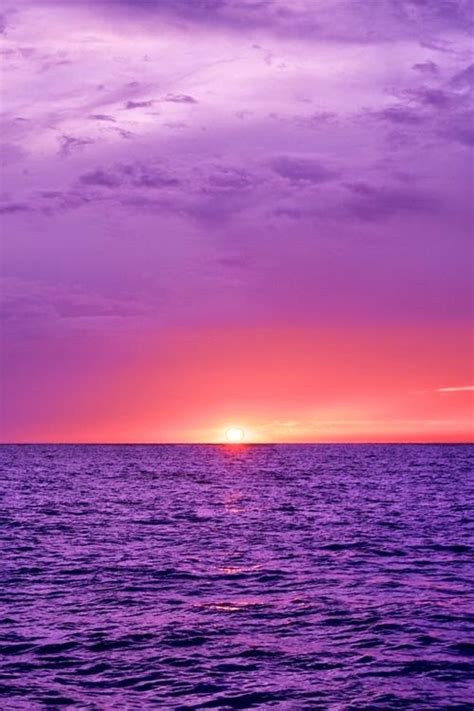 Purple Ocean ~ Photos Hub