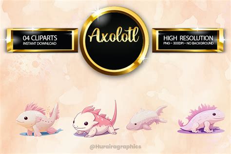 Axolotl Clipart Bundle 04 Variations Graphic By Hurairagraphics