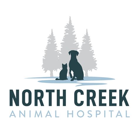 North Creek Animal Hospital Veterinarian Near Me Local Animal Hospital