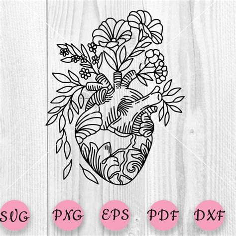 Anatomical Heart Svg Bundle File For Cricut Silhouette Human Etsy