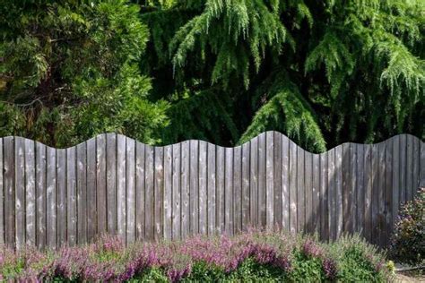 10 Simple Ways To Cat-Proof A Fence - Cats.com