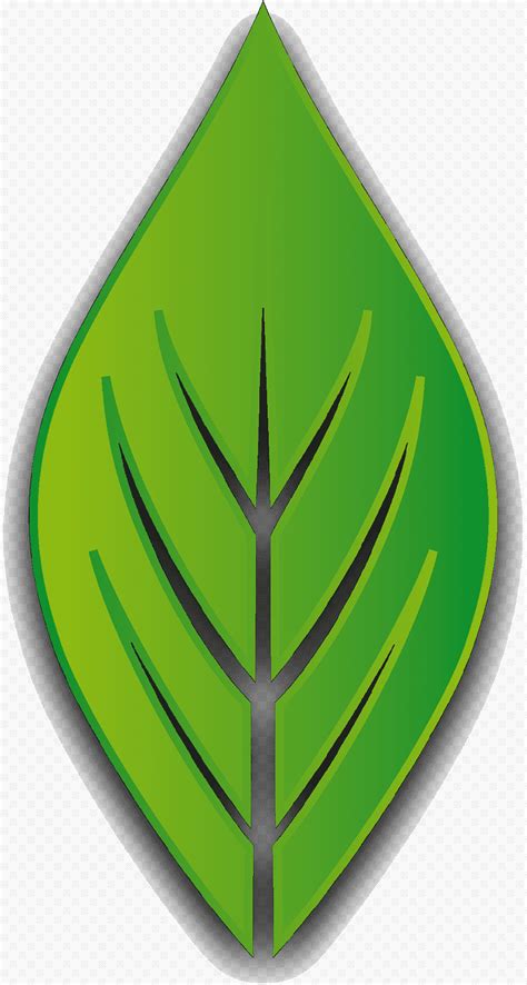 Logotipo De Hoja Verde Rbol Tri Ngulo Planta Png Klipartz The Best