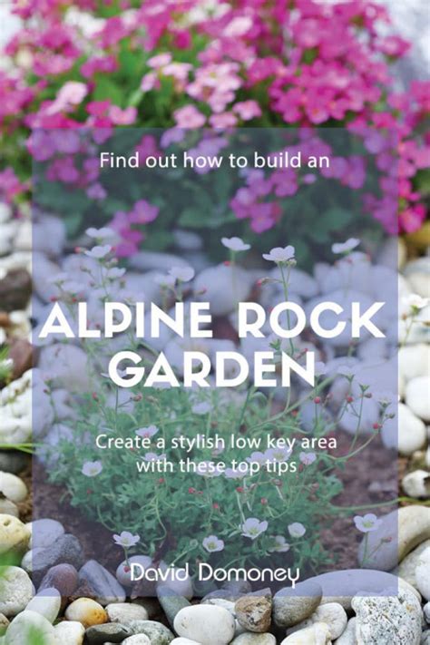 How To Build And Plant An Alpine Rock Garden David Domoney