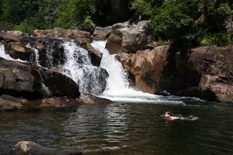 Peyton Jumping Into The River At Jacks