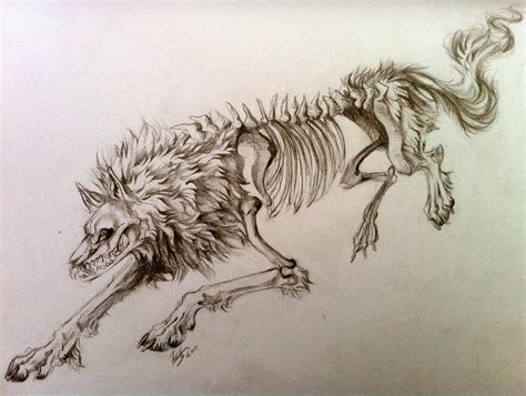 Skeletal Wolf Deviantart